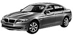 BMW F10 P249C Fault Code